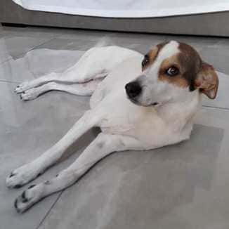 Sônia M.