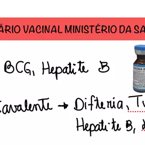 Imagem de capa para o Ebook Calendário Vacinal Infatil