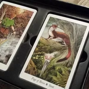 Image de couverture pour le Cours en ligne Explorez l'Avenir avec une Voyance Sérieuse Sans CB au Tarot Téléphonique 🌟