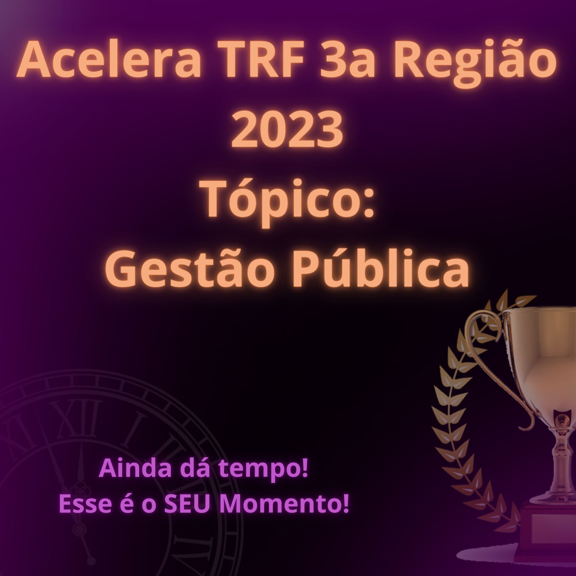 Imagem do curso ACELERA TRF 3a Região GESTÃO PÚBLICA