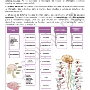 Imagem de capa para o Ebook Resumo Fundamentos da Neurofisiologia - Psicologia