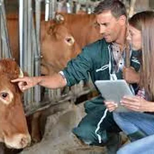 Imagem do curso Auxiliar de veterinário GRANDE PORTE 