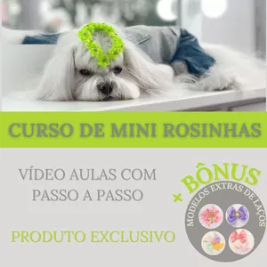 Imagem de Curso de Mini Rosinhas  criado por Cristiane na hotmart