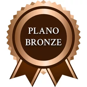 Imagem de capa para o Curso online Plano - Bronze - 4 semanas de protocolo 