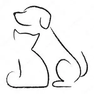 Imagem principal do produto Primeros auxilios en mascotas