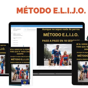 Imagen de portada para Curso online DE AMIGO A HÉROE DE TU PERRO