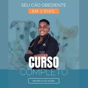 Capa do curso 