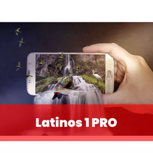 Imagen de portada para Curso online Latino 1 Pro 