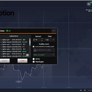 Imagem de capa para o Curso online Bot para operar en iq Option