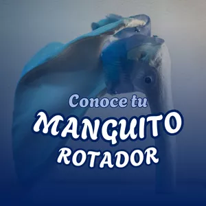 Imagen de portada para Curso online Conoce tu Manguito Rotador