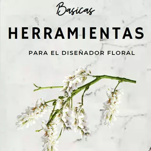 Imagen de portada para Ebook Herramientas Basicas para floristas