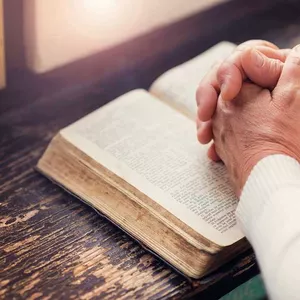 Imagem do curso O Ensino Religioso na Educação Básica: uma Introdução