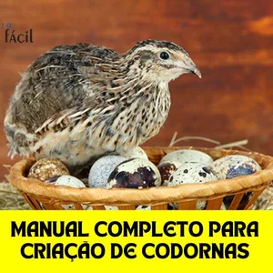 Imagem do curso Manual Completo para Criação de Codornas
