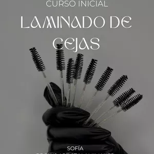 Imagen de portada para Ebook CURSO -  LAMINADO DE CEJAS