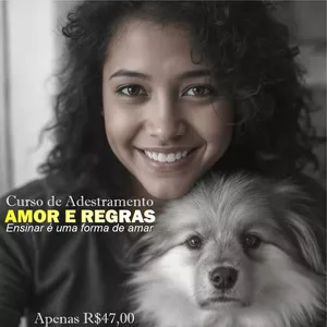 Imagem do curso Amor e Regras - Adestramento que funciona