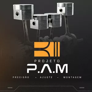 Imagem de capa para o Curso online PROJETO P.A.M.