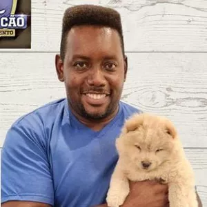 Curso Curso de Adestramento de Cães / Adestrando seu Animalzinho
