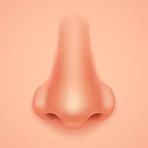 Imagem de capa para o Curso online Desenho Realista ( nariz frontal)