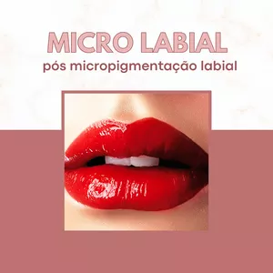 Curso CURSO DE MICRO LABIAL PASSO A PASSO 