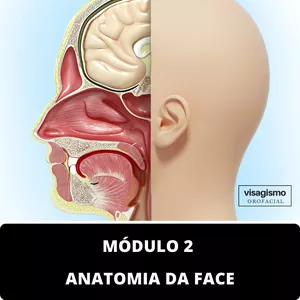 Imagem de capa para o Curso online [Inativo] Módulo 2: Anatomia da Face