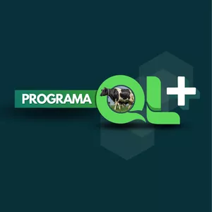 Imagem de capa para o Curso online Programa QL+