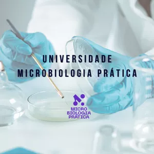Imagem de capa para o Curso online Universidade Microbiologia Prática