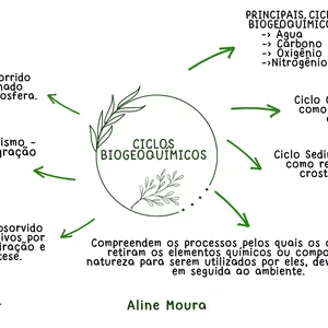 Imagem de capa para o Ebook MAPA MENTAL - CICLO BIOGEOQUÍMICOS