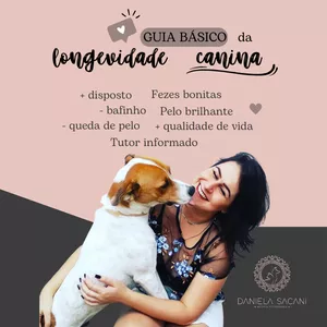 Imagem do curso Guia básico da longevidade canina