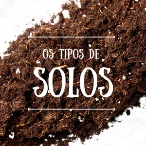 Imagem de capa para o Ebook Os tipos de solos | Lição Bíblica | Junho 2023 | Adulto