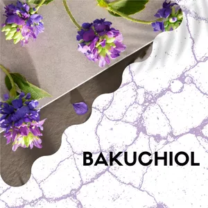 Imagen de portada para Curso online Elimina estrías y  ¡celulitis en menos de 4 semanas!