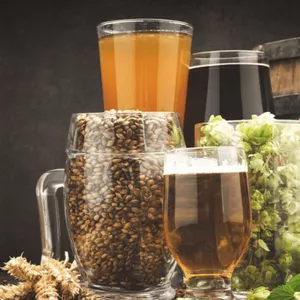 Imagen de portada para Ebook MANUAL CERVECERO...El paso a paso