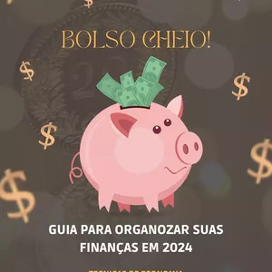 Imagem de capa para o Ebook BOLSO CHEIO
