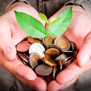 Imagem de capa para o Curso online Onde Investir o que Poupei