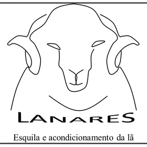 Imagem de capa para o Ebook LANARES: Esquila e acondicionamento da lã