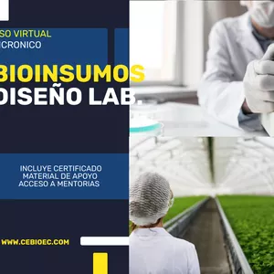 Imagem principal do produto Diseño e implementación de laboratorio de bioinsumos con enfoque en sistema documental según normativa vigente. 