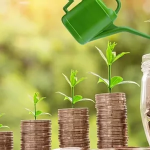 Imagem do curso As melhores análises do mercado financeiro 