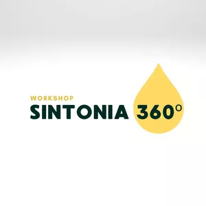 Imagem de capa para o Curso online Workshop Sintonia 360º  