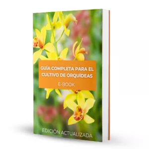 Imagen de portada para Ebook Guía completa para el cultivo de orquídeas 