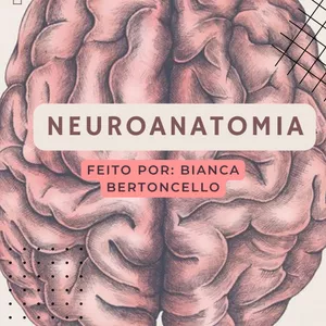 Imagem de capa para o Ebook Neuroanatomia resumida