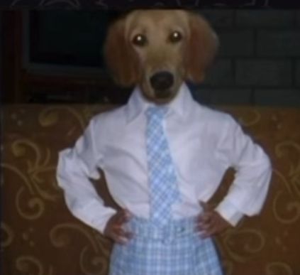 Imagem do curso Pack Cortes Family Guy 6.0