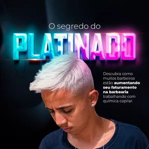 Imagem do curso O Segredo do Platinado 