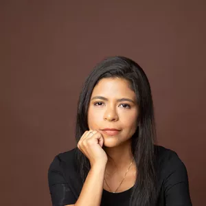 Imagem de capa para o Curso online Mentoria Direito eleitoral simplificado