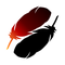 Phoenix & Crow For Writers