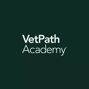 Imagem de capa para o Curso online VetPath Academy