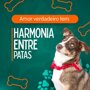 Imagem de capa para o Curso online Harmonia Entre Patas