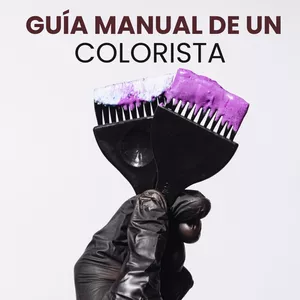 Imagen de portada para Curso online Guía completa Manual de un colorista 