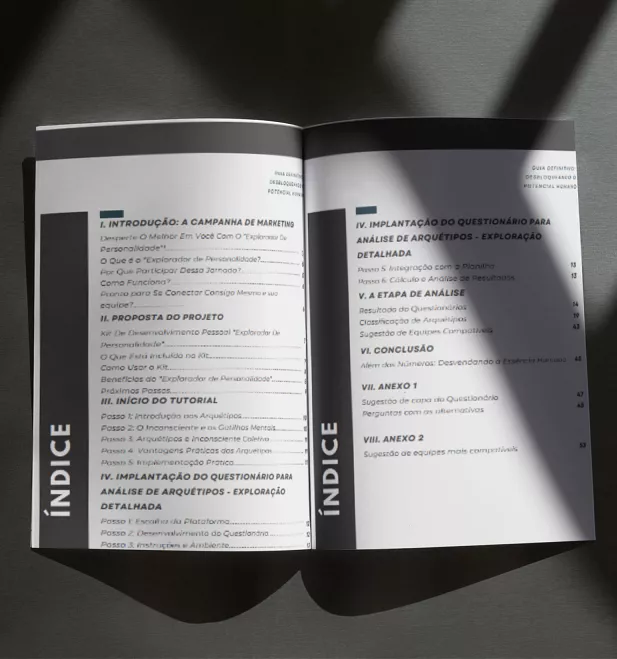 EXPLORADOR DE PERSONALIDADE: DESBLOQUEANDO O POTENCIAL HUMANO COM O AUTOCONHECIMENTO — imagem 4