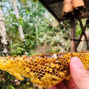 Cover image for Online course ືOrganic Honey 