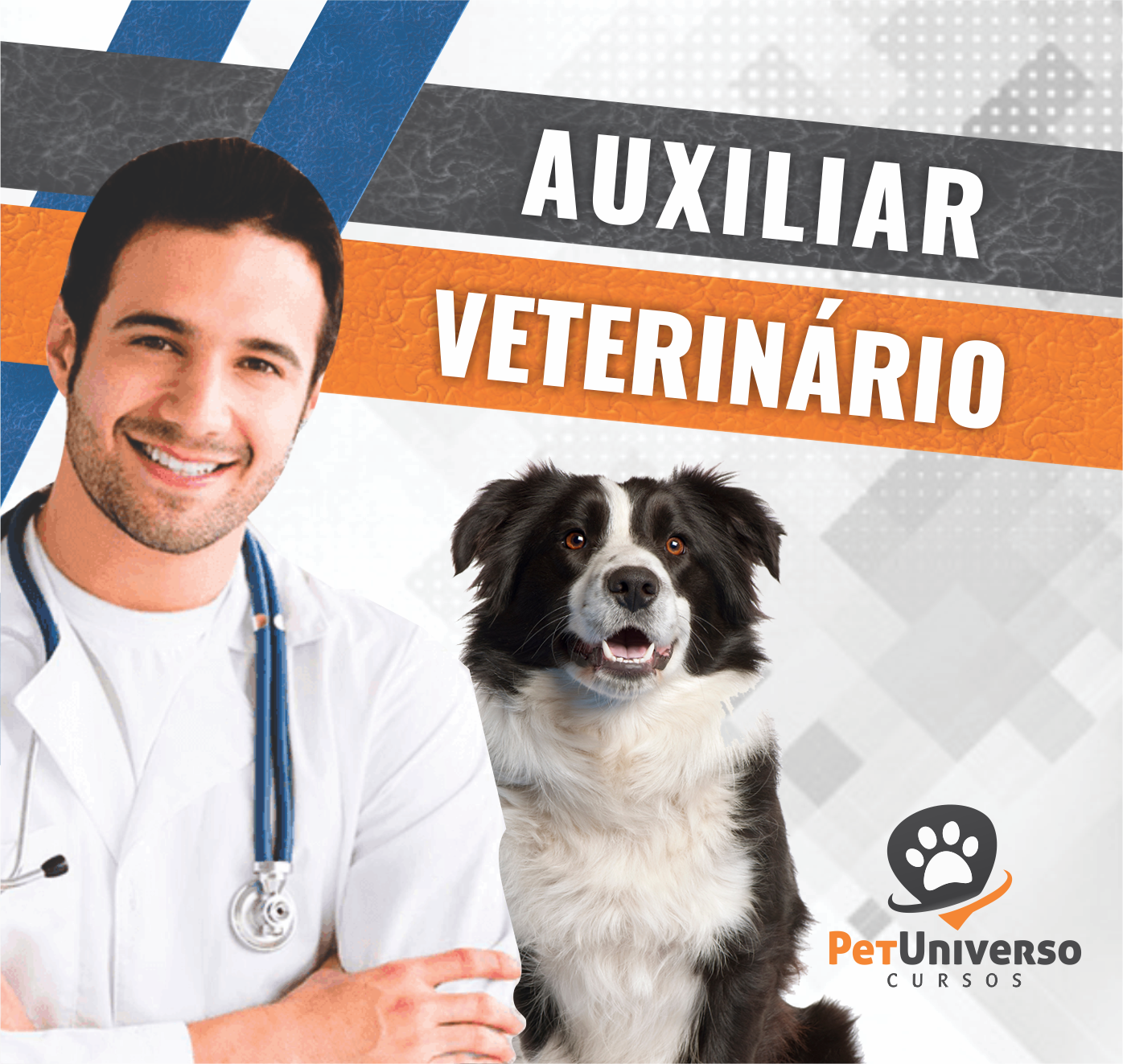 Capa do curso 