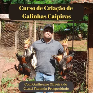 Curso de Criação de Galinhas Caipiras